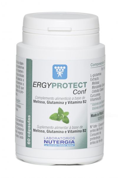 ERGYPROTECT-conf